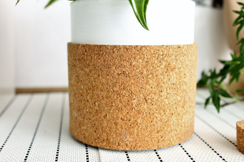 עציץ שעם - עשה זאת בעצמך 